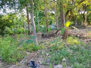 Land for Sale Kalmunai