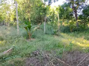 Land for Sale Kalmunai