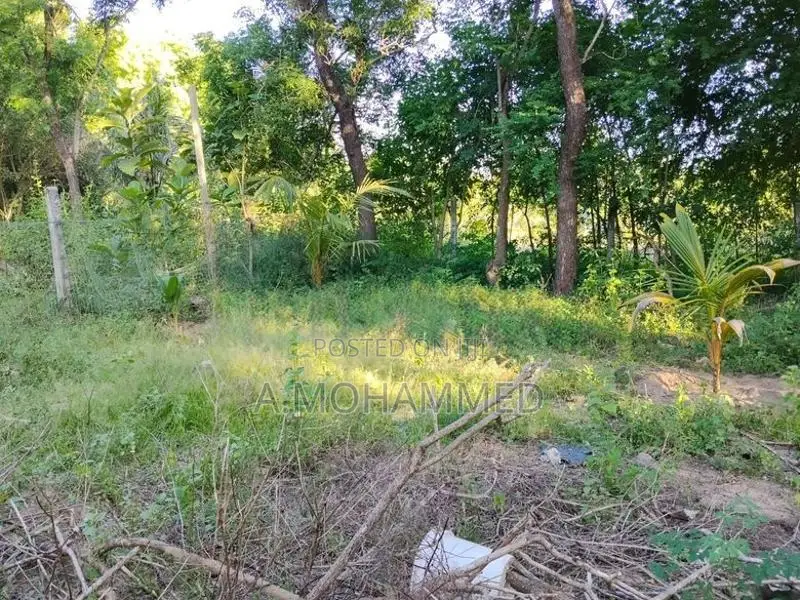 Land for Sale Kalmunai
