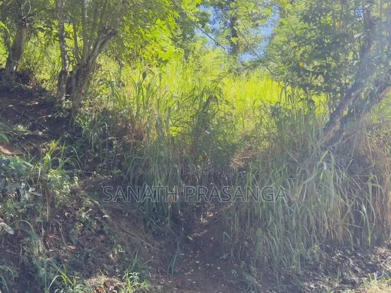 Land For Sale In Badulla