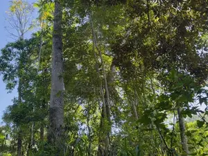 Land For Sale In Badulla