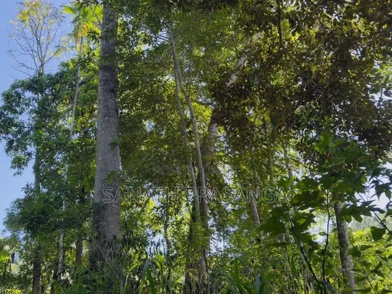 Land For Sale In Badulla