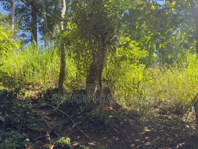 Land For Sale In Badulla