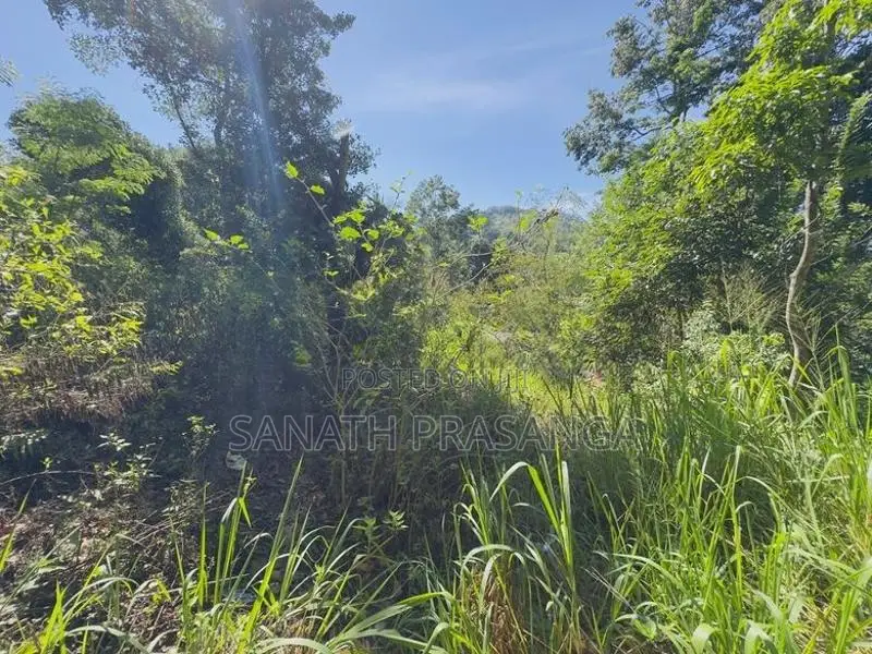 Land For Sale In Badulla