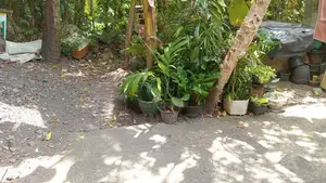 Mahabage - Residential Land For Sale In Ragama