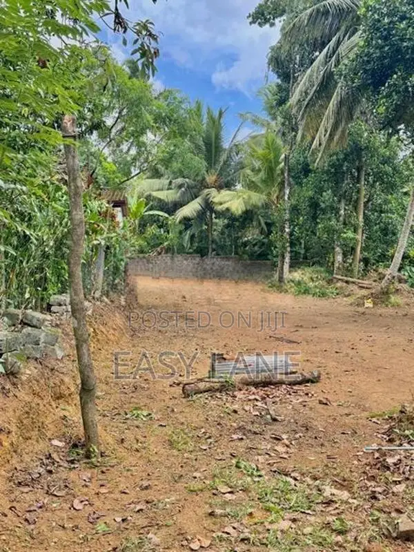 ගොඩගම නගරයට ඇවිද යන දුරින් වටිනා ඉඩමක් විකිණීමට