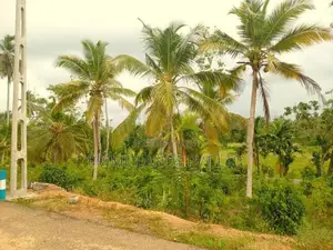 Lands for Sale in Hikkaduwa