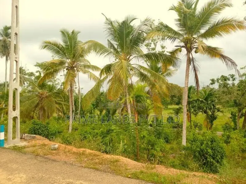 Lands for Sale in Hikkaduwa