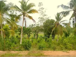 Lands for Sale in Hikkaduwa