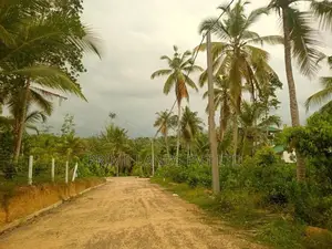 Lands for Sale in Hikkaduwa