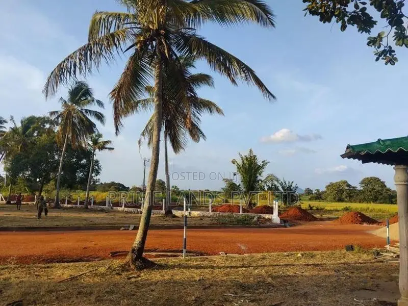 Land for Sale in Anuradhapura Nachchaduwa Road
