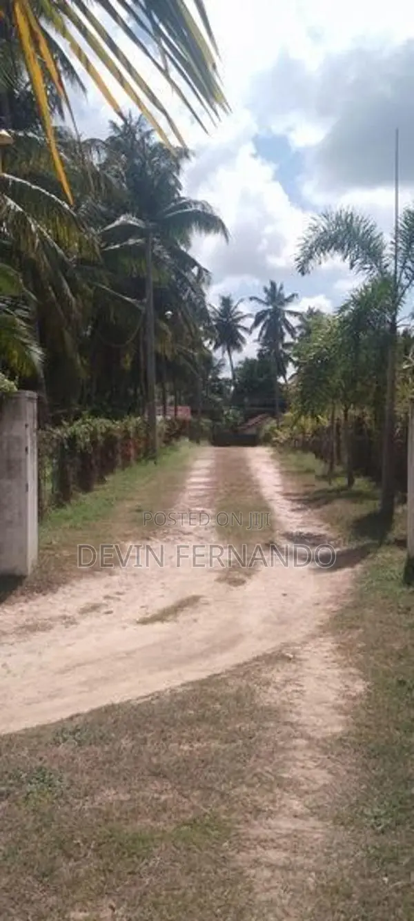 Prime 15/20/25 Perch Land For Sale – Negombo