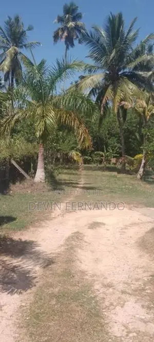 Prime 15/20/25 Perch Land For Sale – Negombo