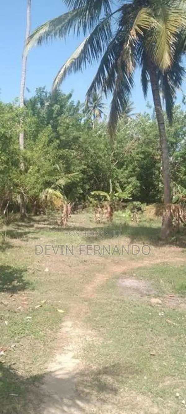 Prime 15/20/25 Perch Land For Sale – Negombo