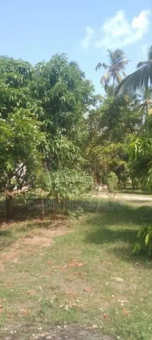 Prime 15/20/25 Perch Land For Sale – Negombo