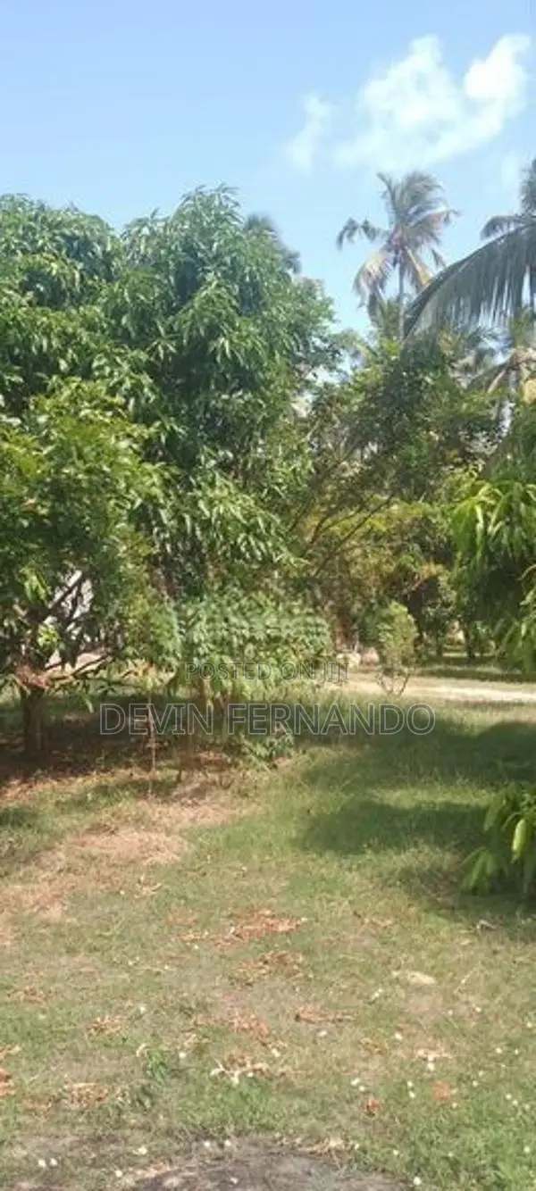 Prime 15/20/25 Perch Land For Sale – Negombo