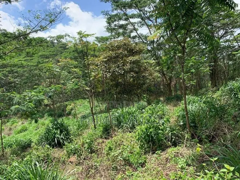 Land for Sale Pussellawa