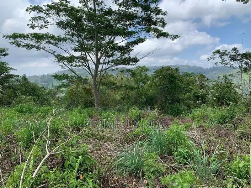 Land for Sale Pussellawa