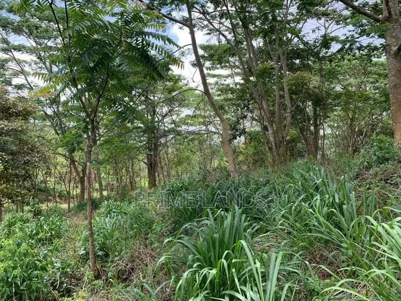 Land for Sale Pussellawa