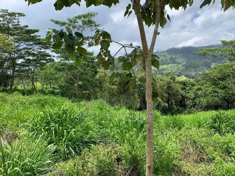 Land for Sale Pussellawa
