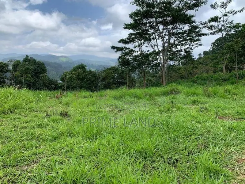 Land for Sale Pussellawa