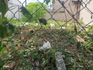 Valuable Bare Land for Sale – Attidiya,