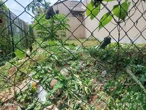 Valuable Bare Land for Sale – Attidiya,