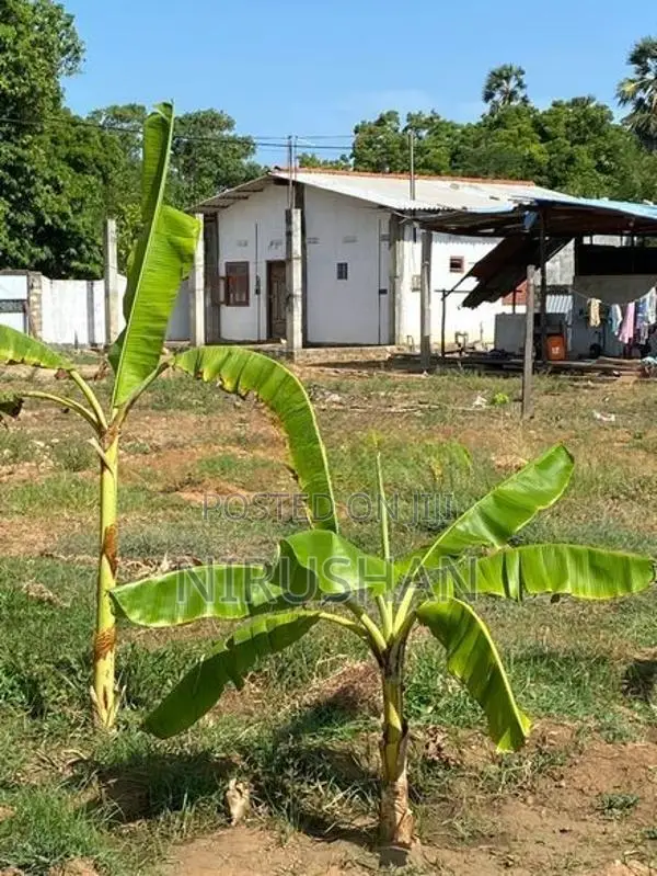 Land for Sale Jaffna