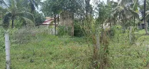 Prime Land for Sale - Withanamulla, Divulapitiya