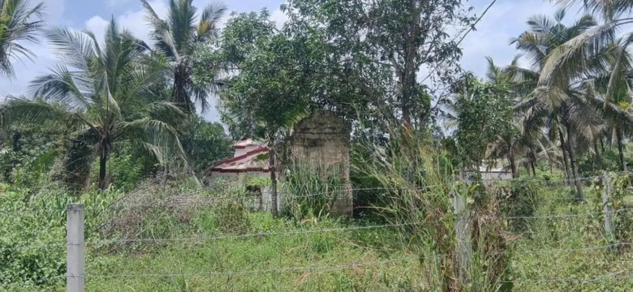 Prime Land for Sale - Withanamulla, Divulapitiya