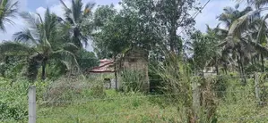 Prime Land for Sale - Withanamulla, Divulapitiya
