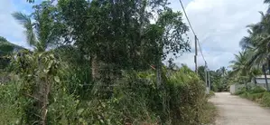 Prime Land for Sale - Withanamulla, Divulapitiya
