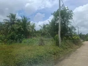 Prime Land for Sale - Withanamulla, Divulapitiya