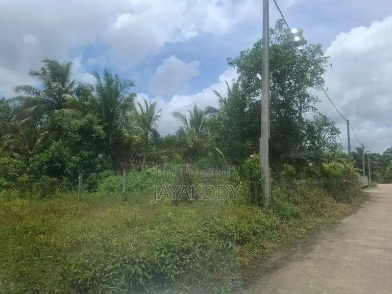 Prime Land for Sale - Withanamulla, Divulapitiya