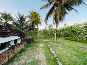 Land For Sale - Dampadiya