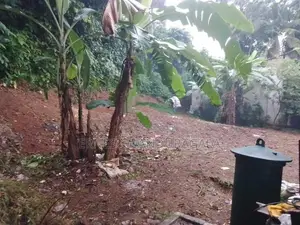 Land for Sale in නුගේගොඩ (728)