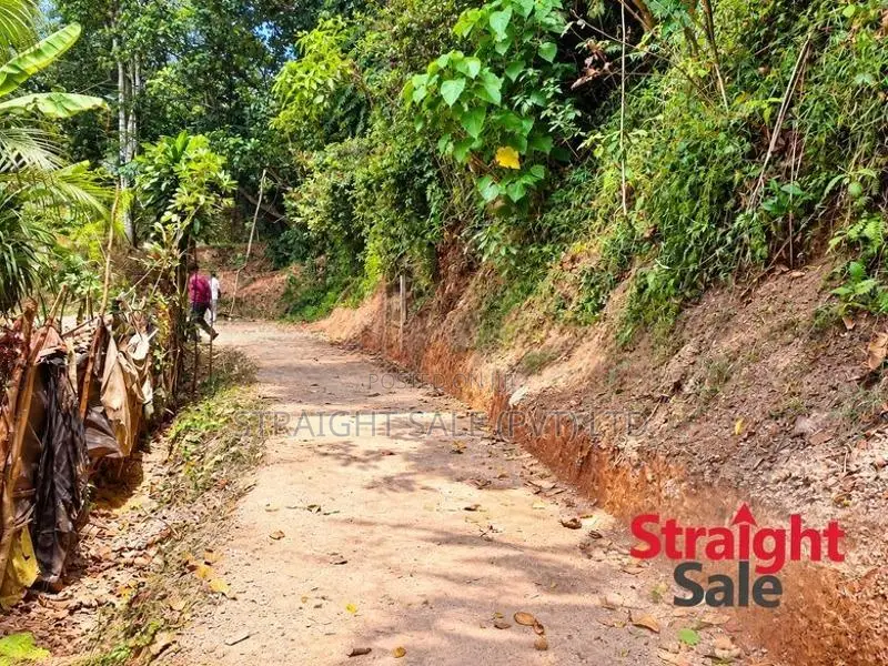 41-Perch Residential Land for Sale – Rajagiriya [LS 06]