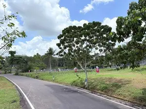 Land for Sale Homagama