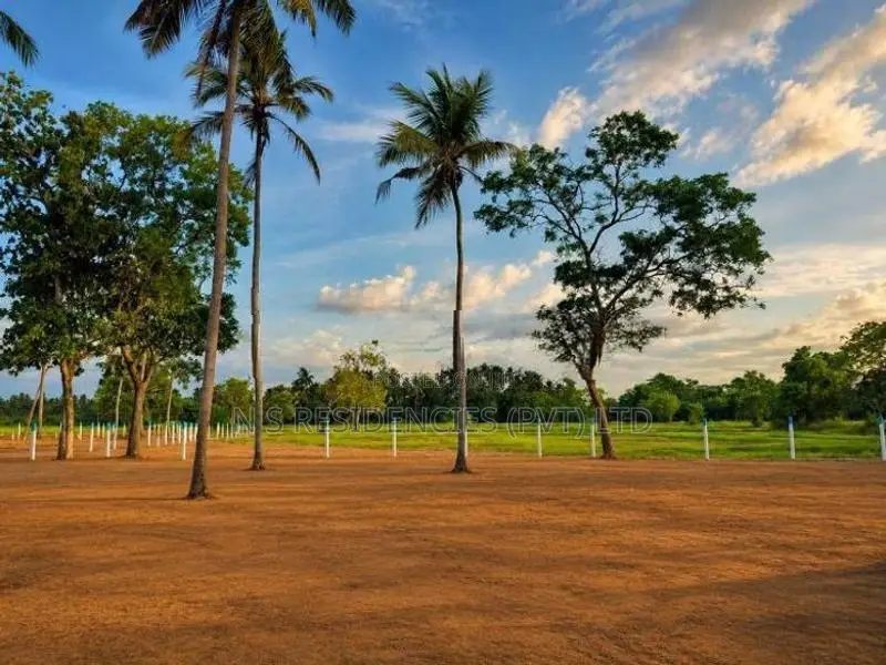 Wariyapola Padeniya Land for Sale