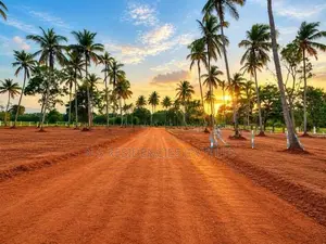 Wariyapola Padeniya Land for Sale