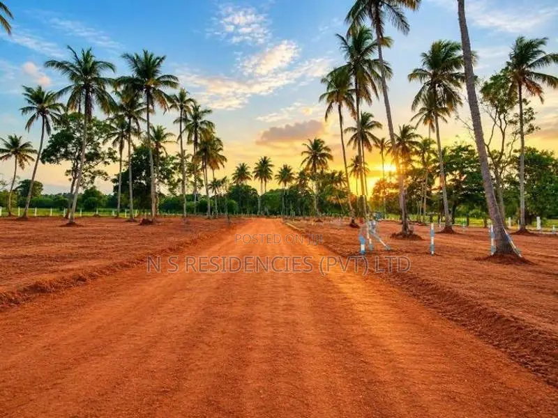 Padeniya Residential Land Plots for Sale