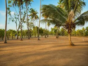 Padeniya Residential Land Plots for Sale