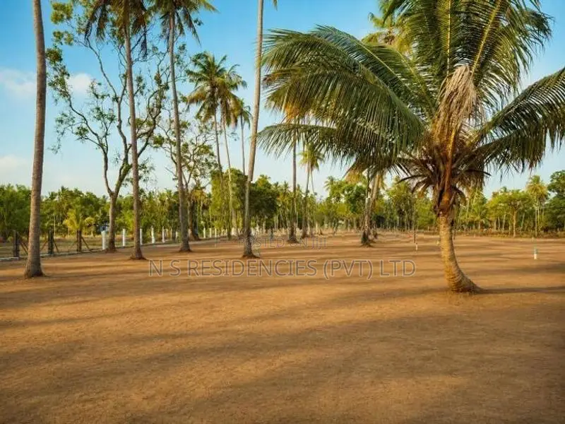 Padeniya Residential Land Plots for Sale