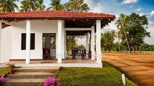 Padeniya New Land for Sale