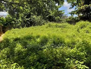 Valuable Land for Sale Thalapathpitiya