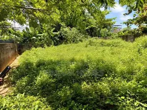 Valuable Land for Sale Thalapathpitiya