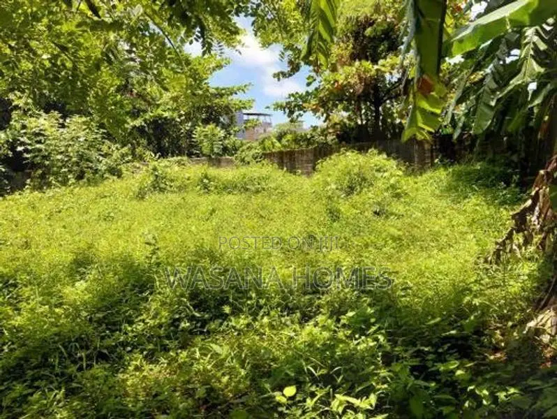 Valuable Land for Sale Thalapathpitiya