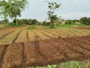 Land for Sale Wellawaya