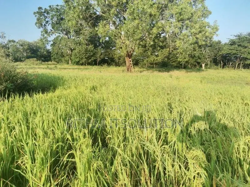 Land for Sale Wellawaya