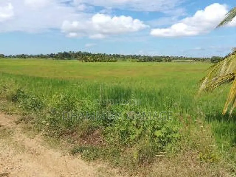 කුඔුරු ඉඩම විකිනිමට කටුවැව